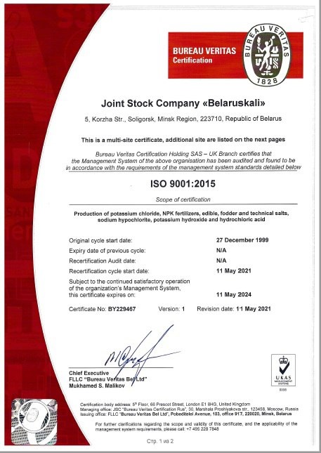 iso 9001 en