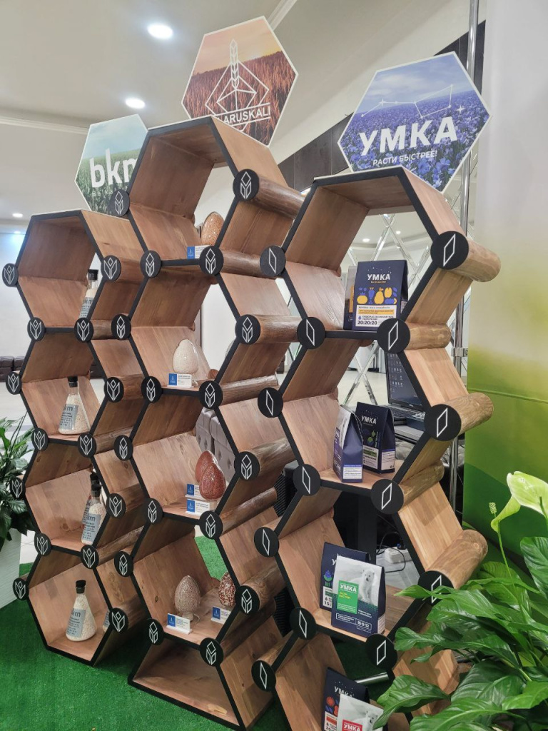 титул БАФ
